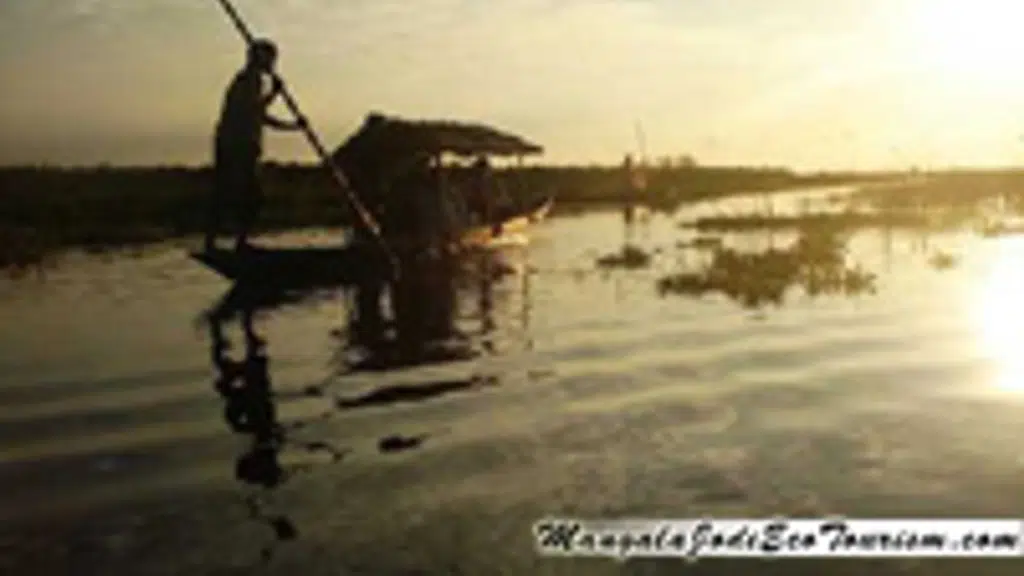Mangalajodi  Wetlands