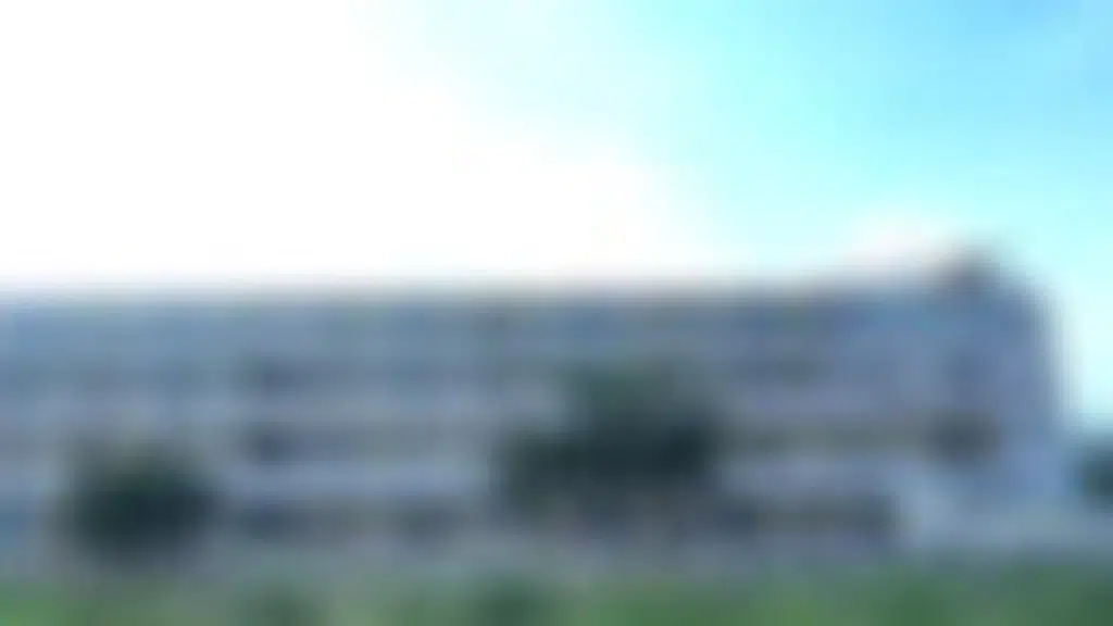 Excellent College