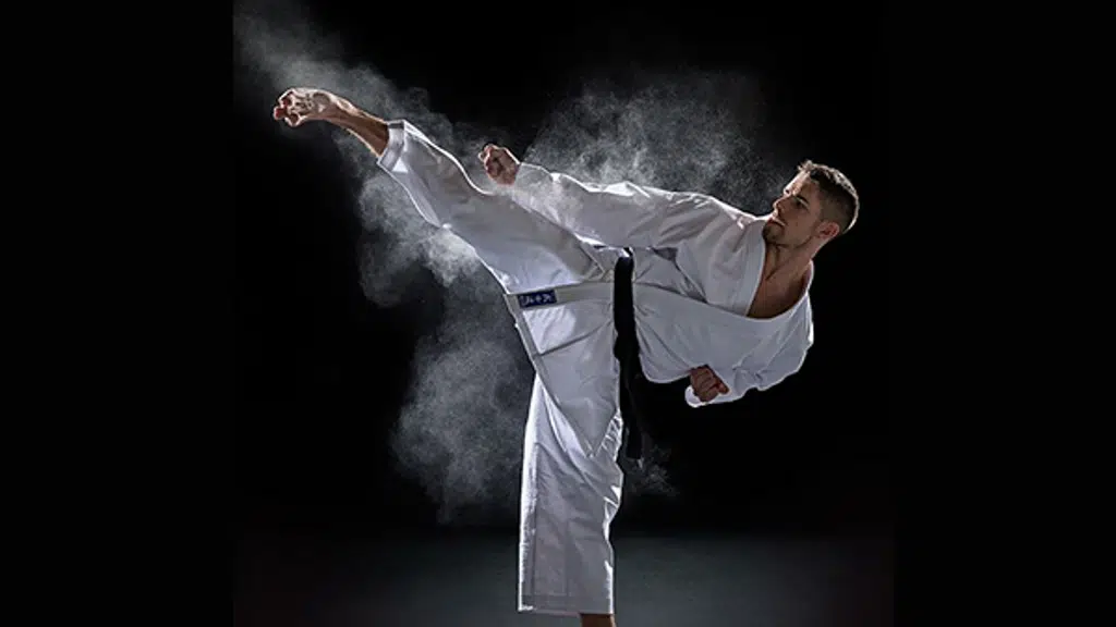 Medallion Karate School of Martial Arts
