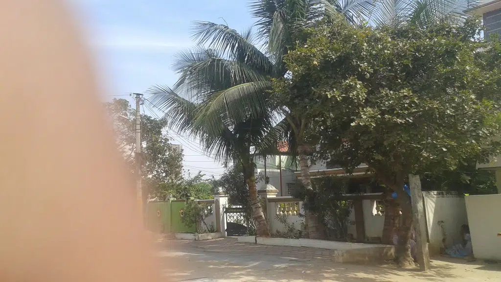 Sai Rama Timber Depot