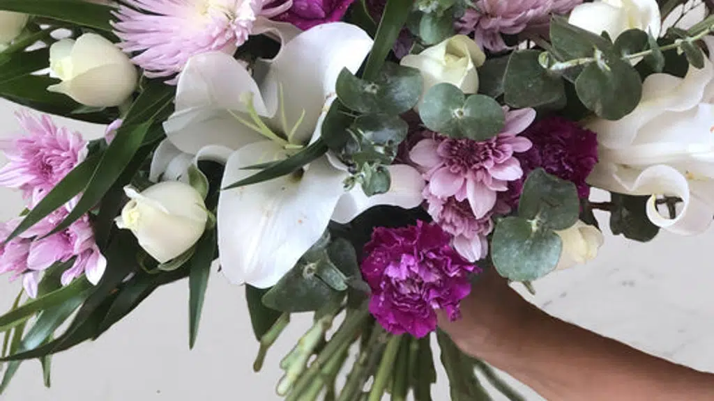 buds and blooms