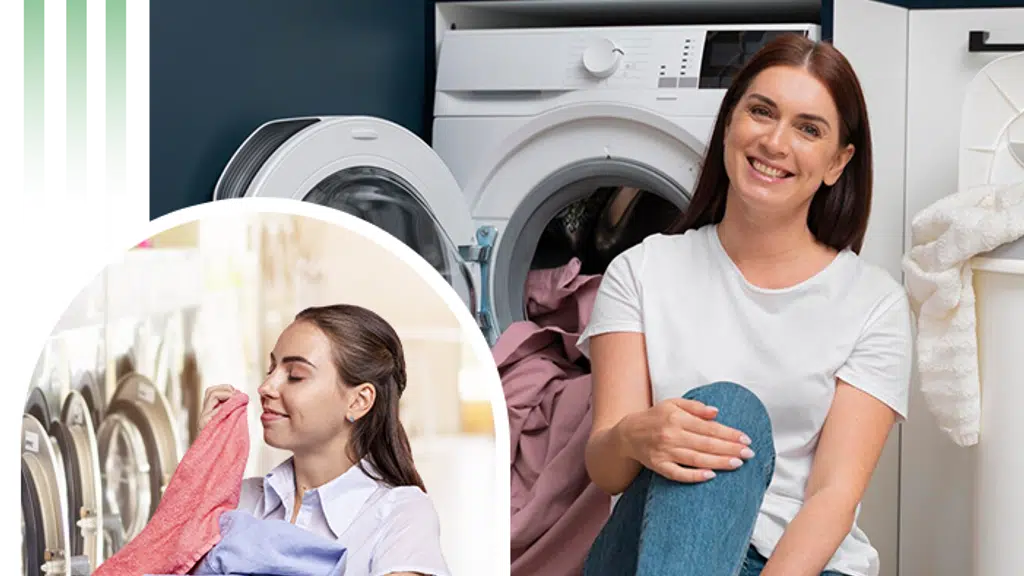 Starex Dry Cleaners