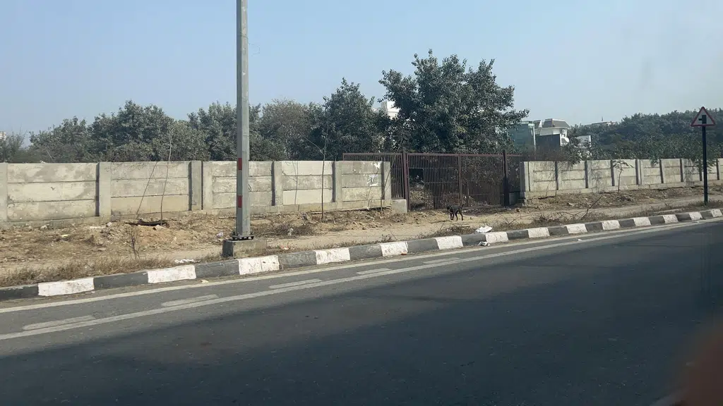 Kendriya Vidyalaya Dwarka Sec 12