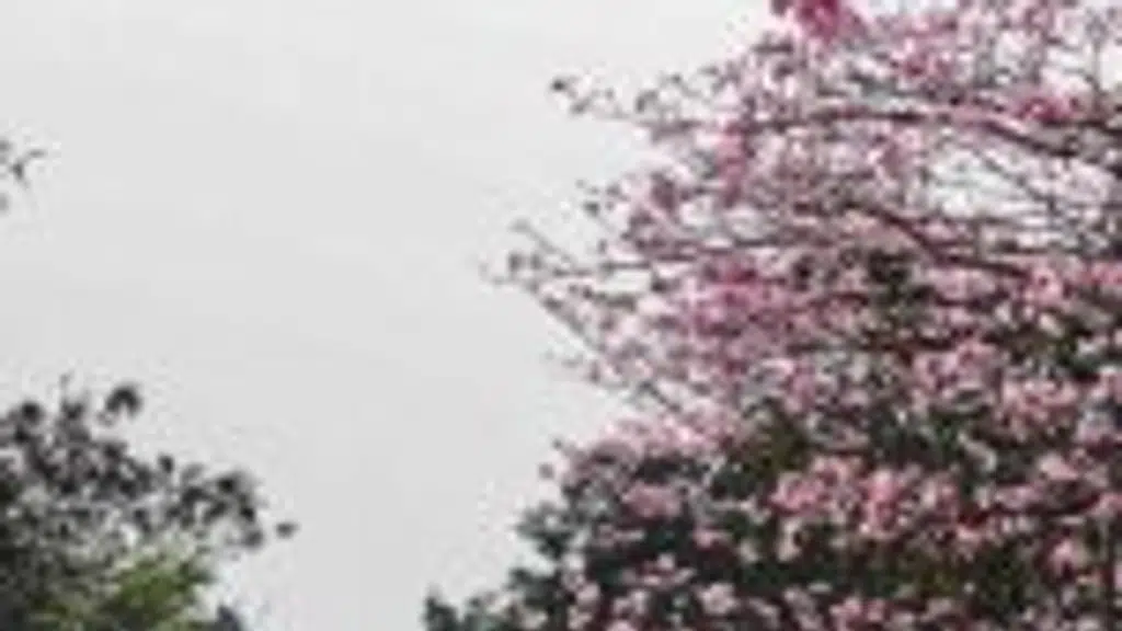 Ferntastica Gardens Limited