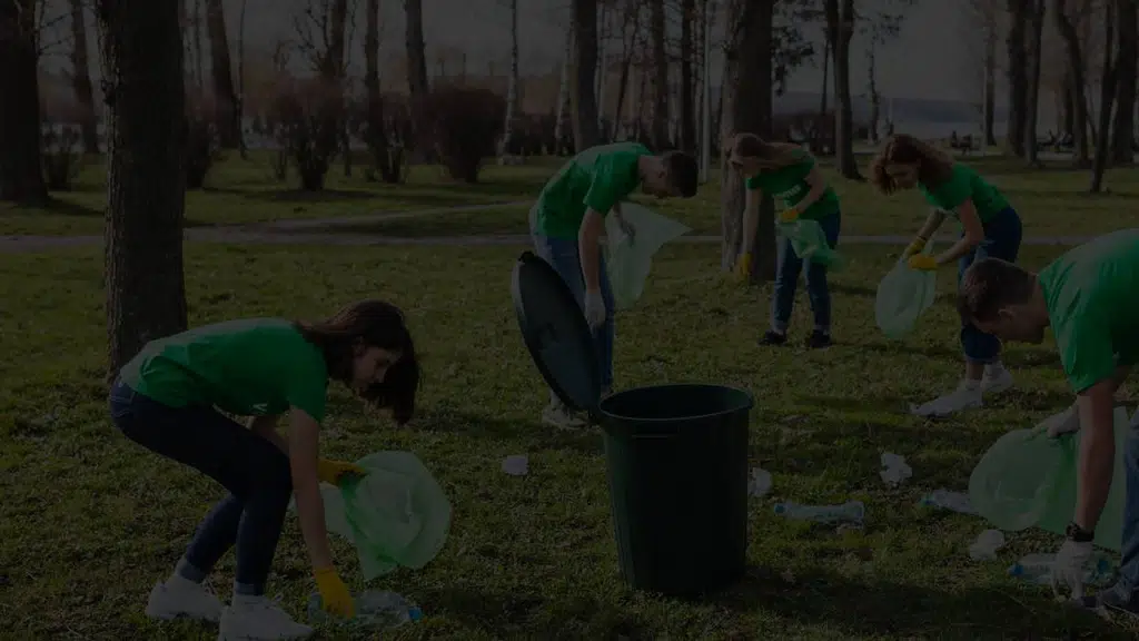 Eco-vision Environmental Resources LLP