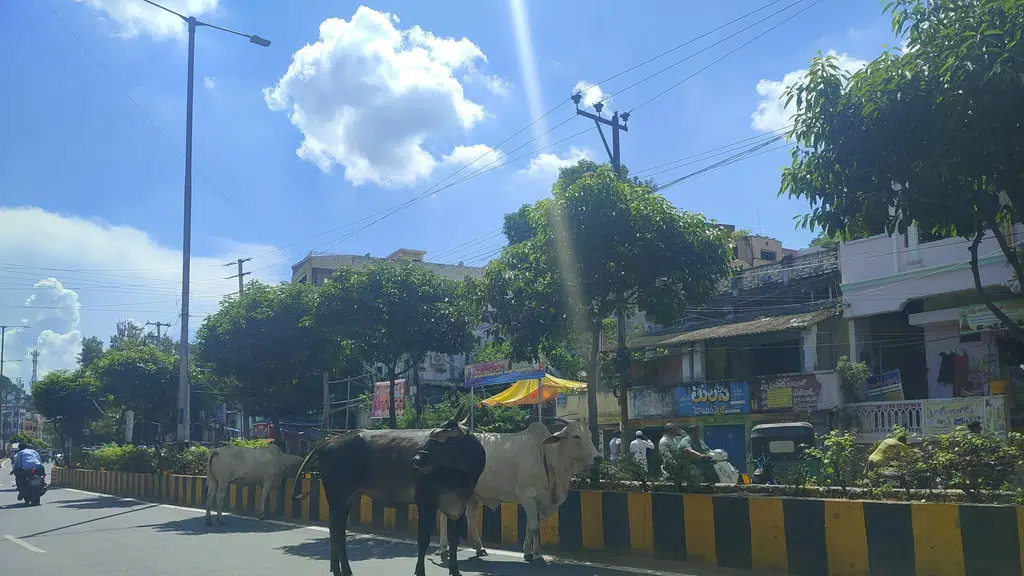 Sai Sri Public School