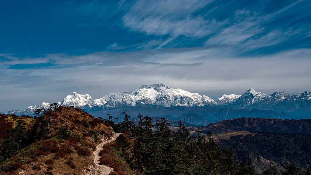 Shah Tours and Travels