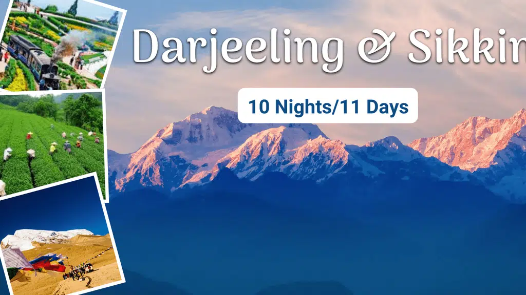Shree Rajyash Holidays