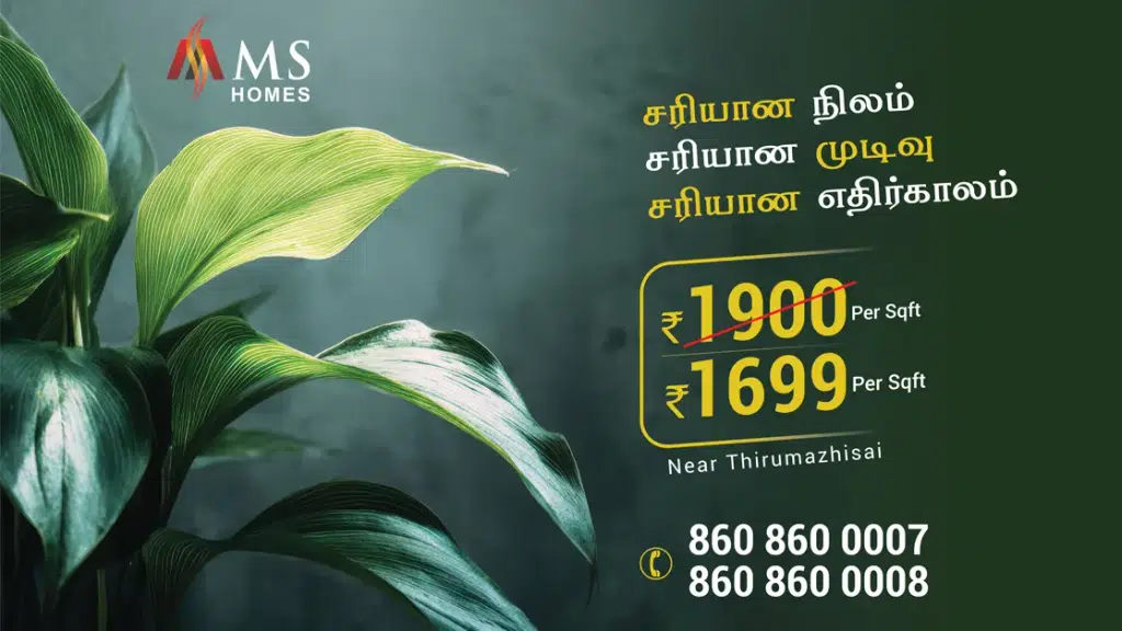 MS Homes