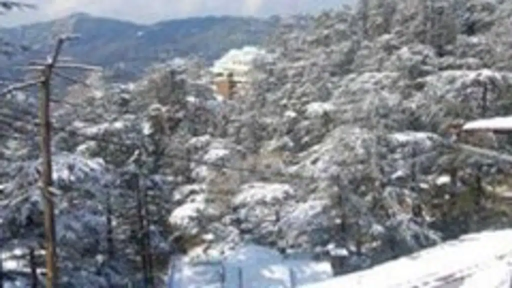 Rajat Shimla