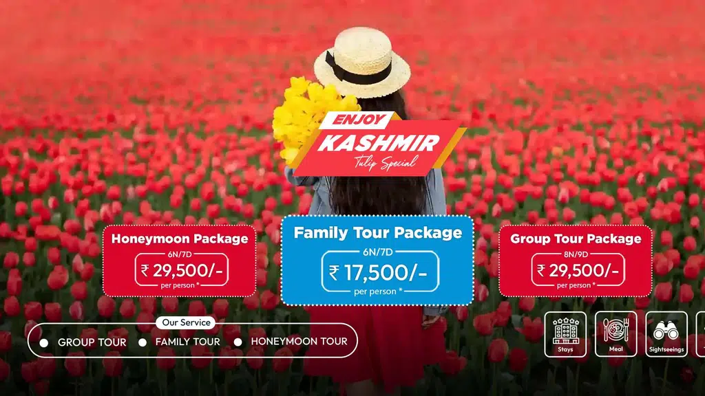 My Vision Kashmir Tour and Travels