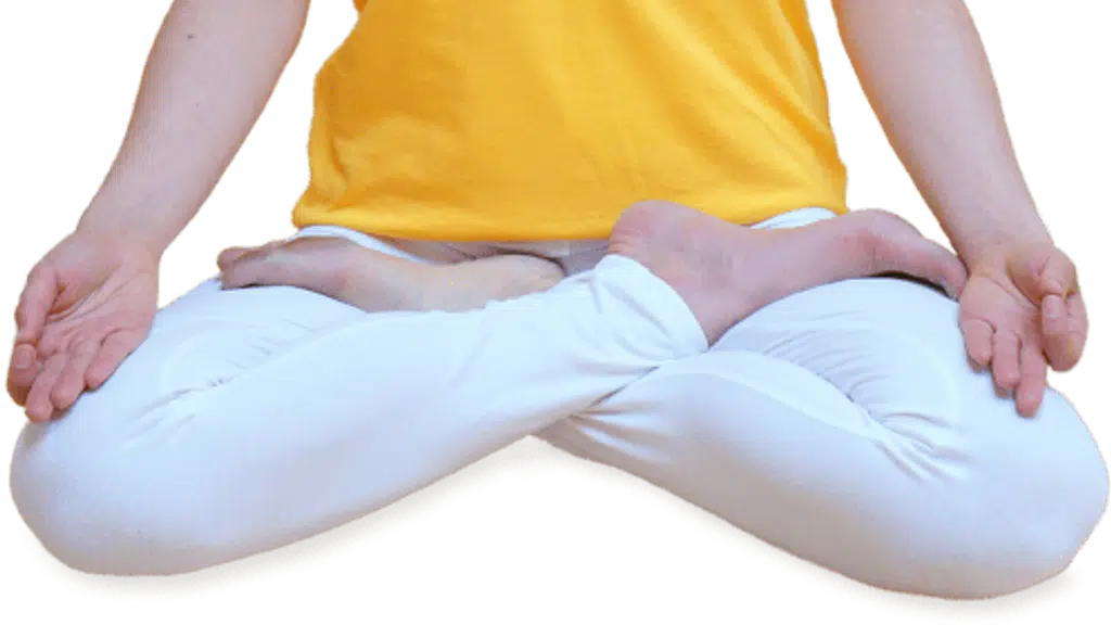 Yogakulam Academy International