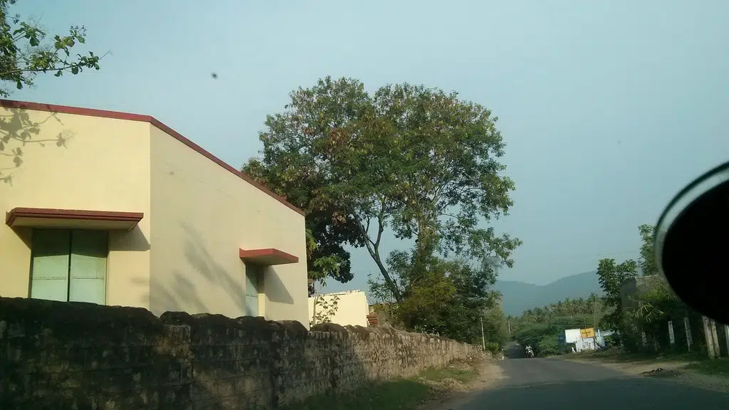 Government High School