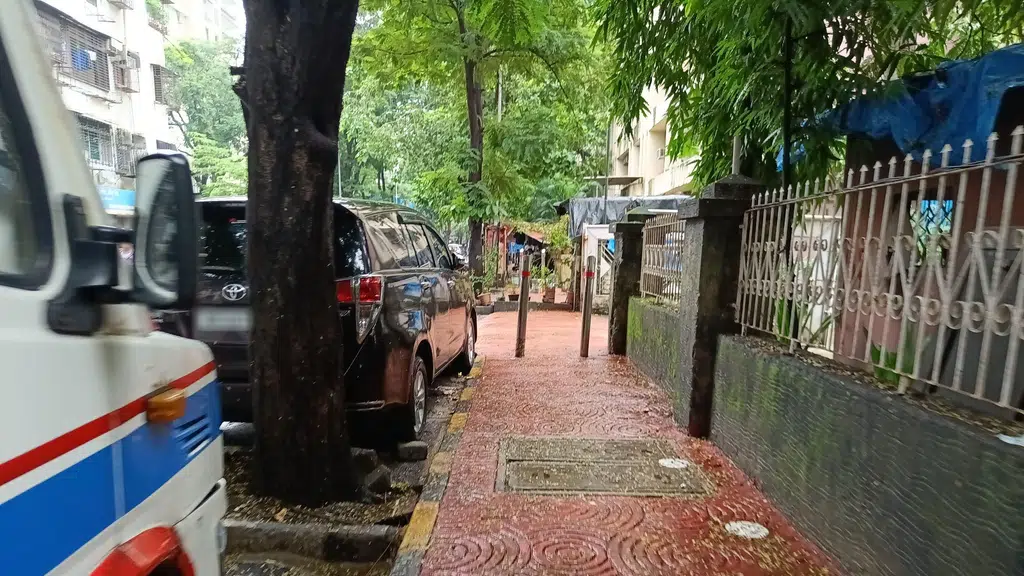 The Banana Leaf