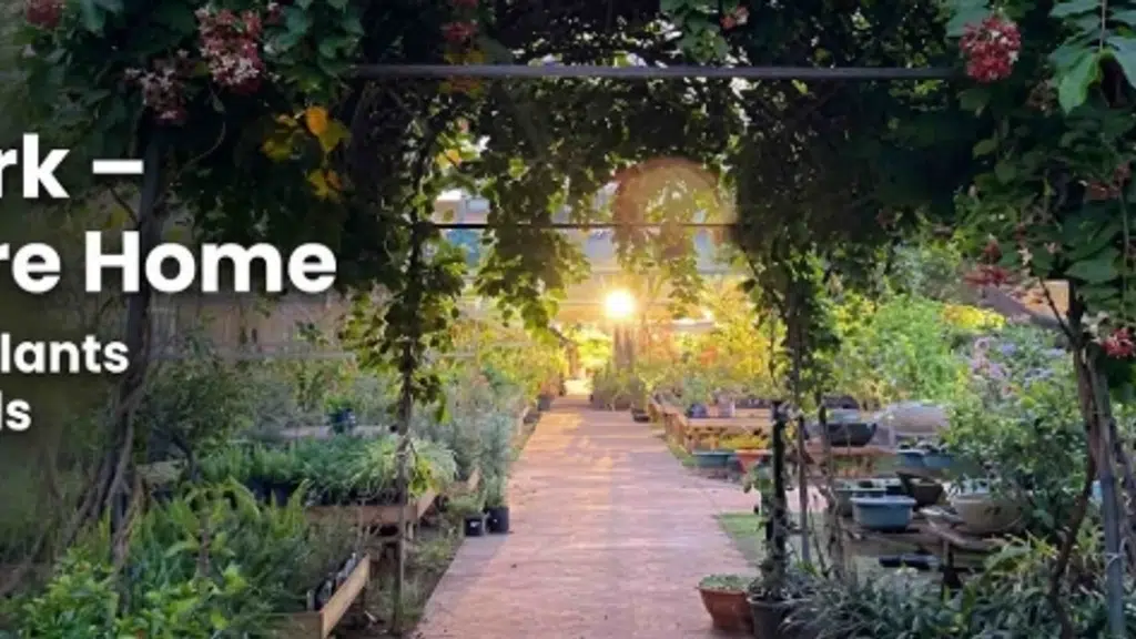 Jagtap Nursery's Garden Center