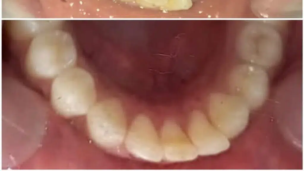 North Delhi Dental Clinic