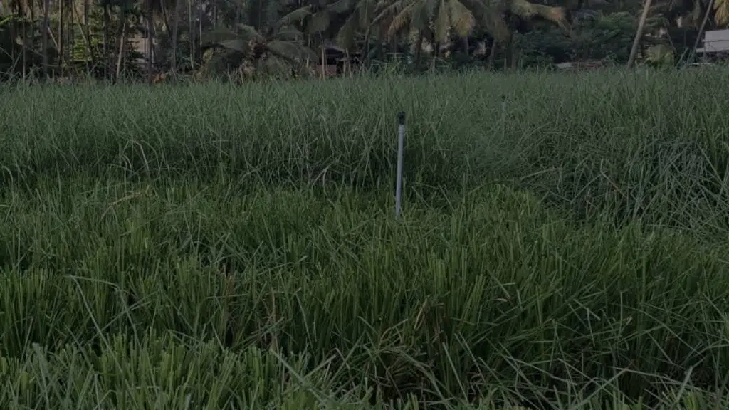 Jp Agri Farmer Product and Creators Private Limited