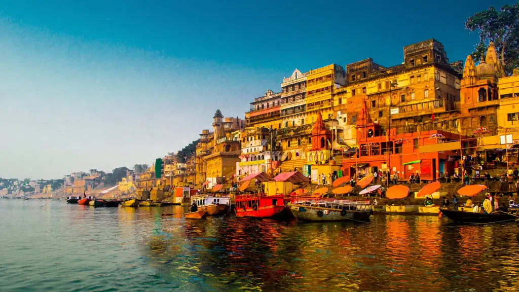 Vishal Tour and Travels