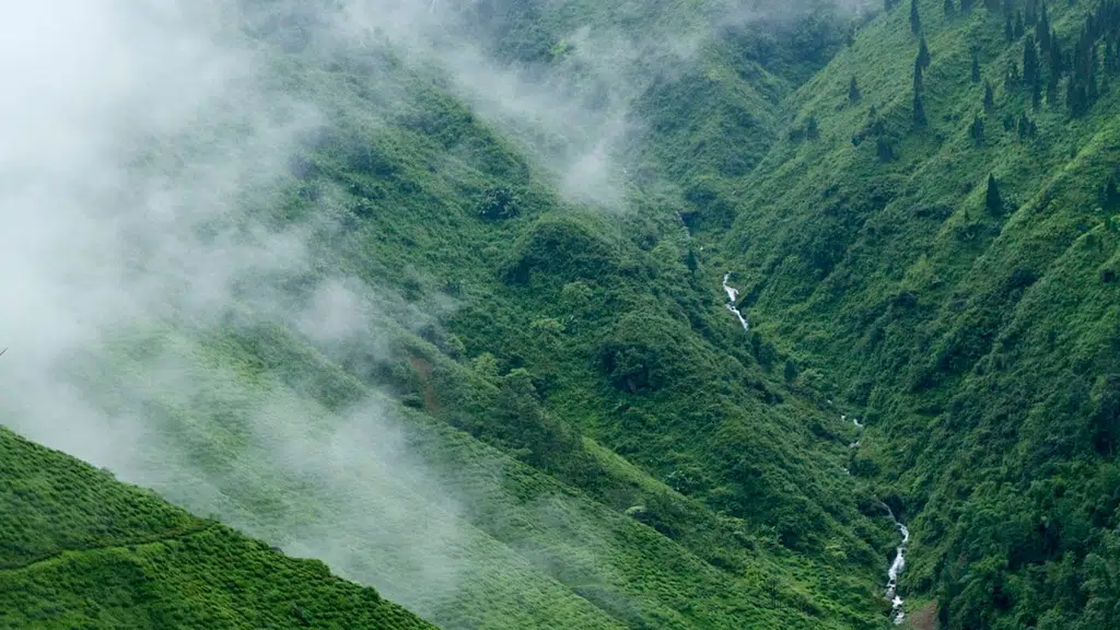 KUNDU Siliguri to Kolkata Bus