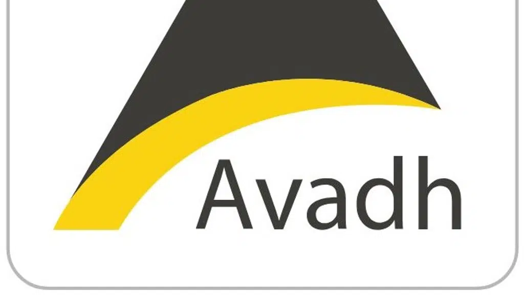 Avadh Group