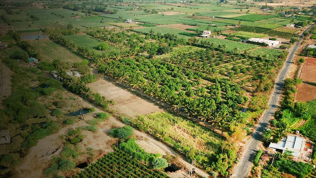 Sawant Organic Mart