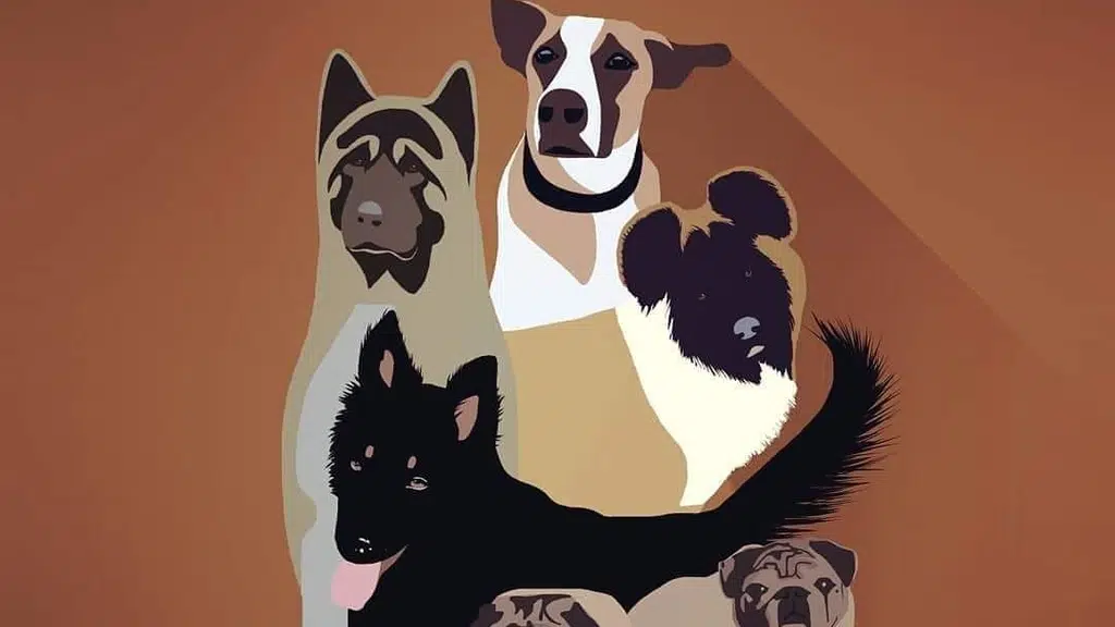 Asha Arun's Pet Home Boarding