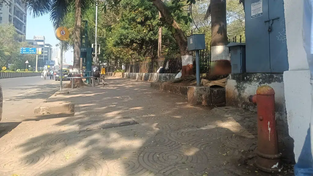 Lotus Cinema