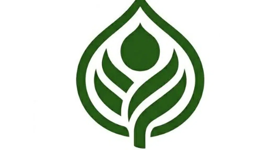 Sai Ayush Ayurveda