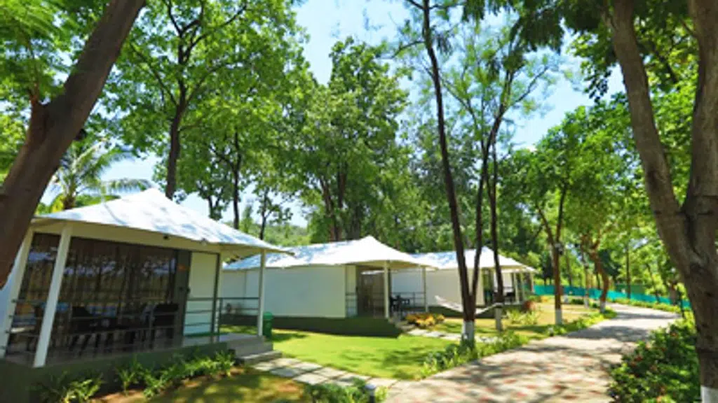 White Feather Resort