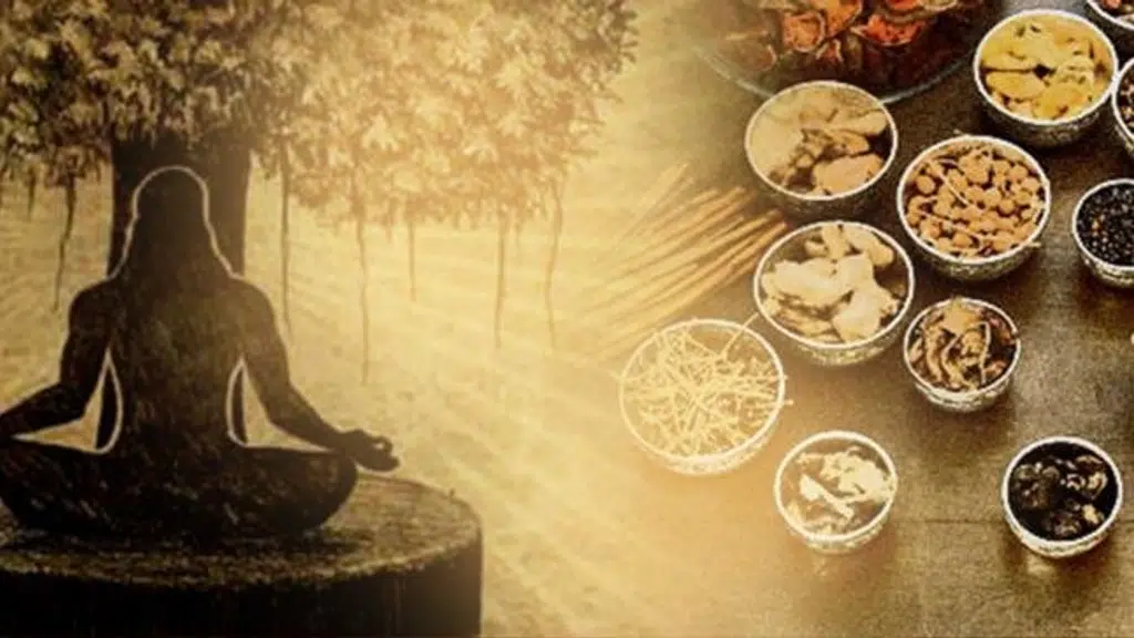 Gurukul Yoga Ashram & Naturopathy