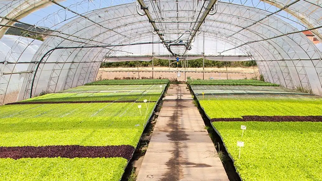Azuka Synthetics LLP (NTC Tiles LLP Unit-3)