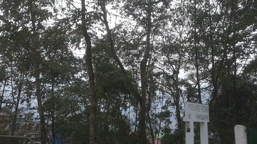 ENT Doctor, 5th Mile, Tadong, Gangtok