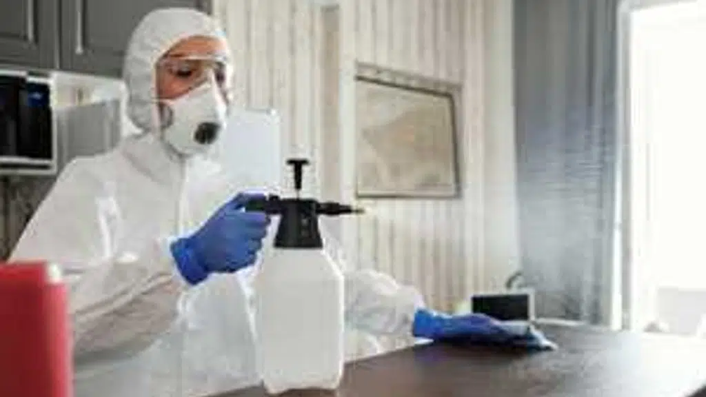 Pestgogo Products and Services