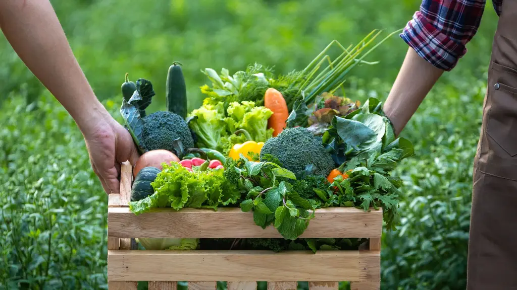 Narayana Farms