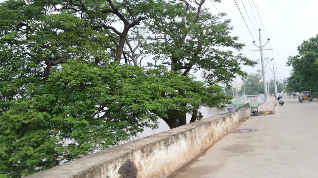 Sri Krishna Chaitanya Mission