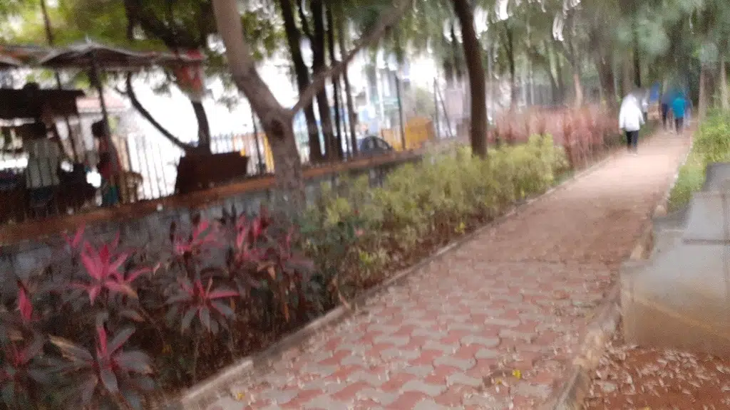 Sneha Sree Bike Point