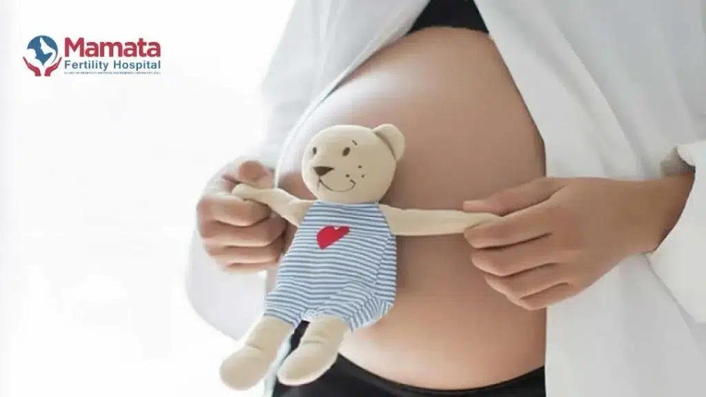 Mamata Fertility Hospital