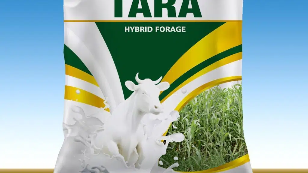 Godavari Ganga Seeds Pvt Ltd