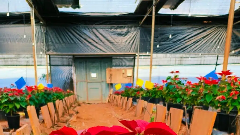 Green world nursery & landscapes