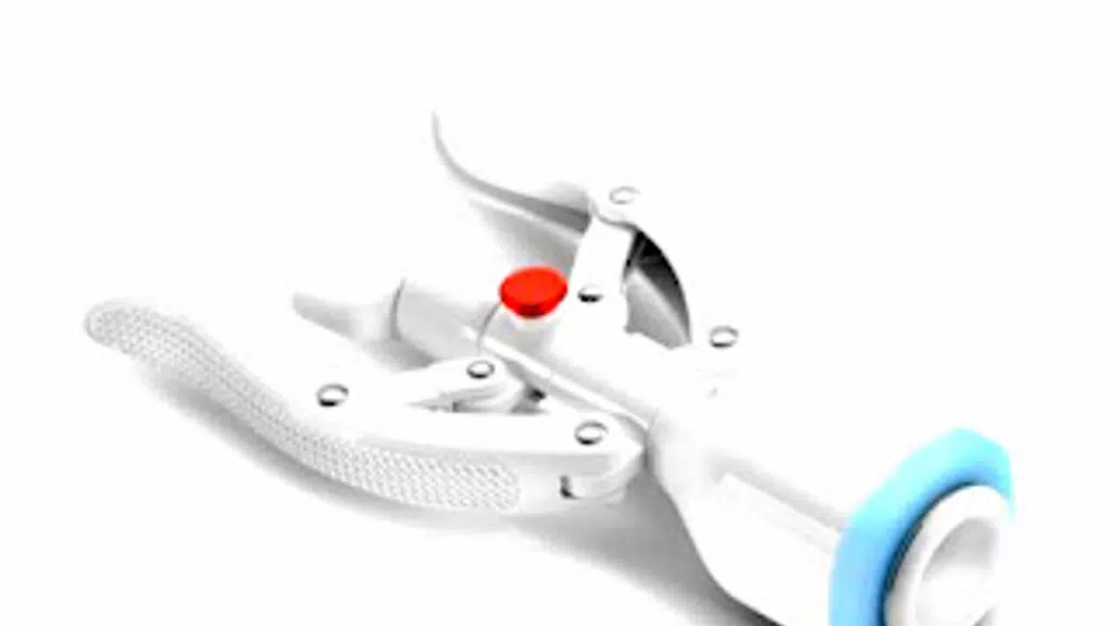 Circumcision