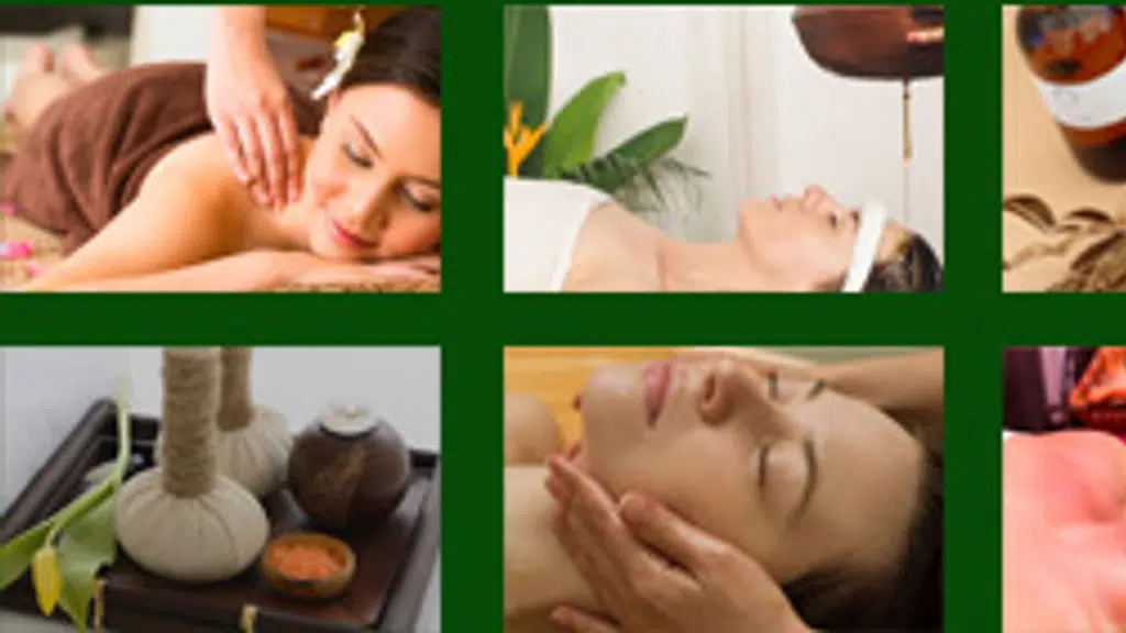 The Madras Institute of Ayurveda