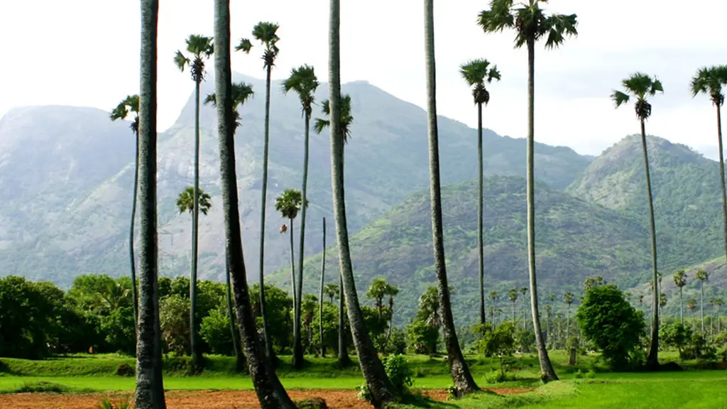 Kaivalyadhamam