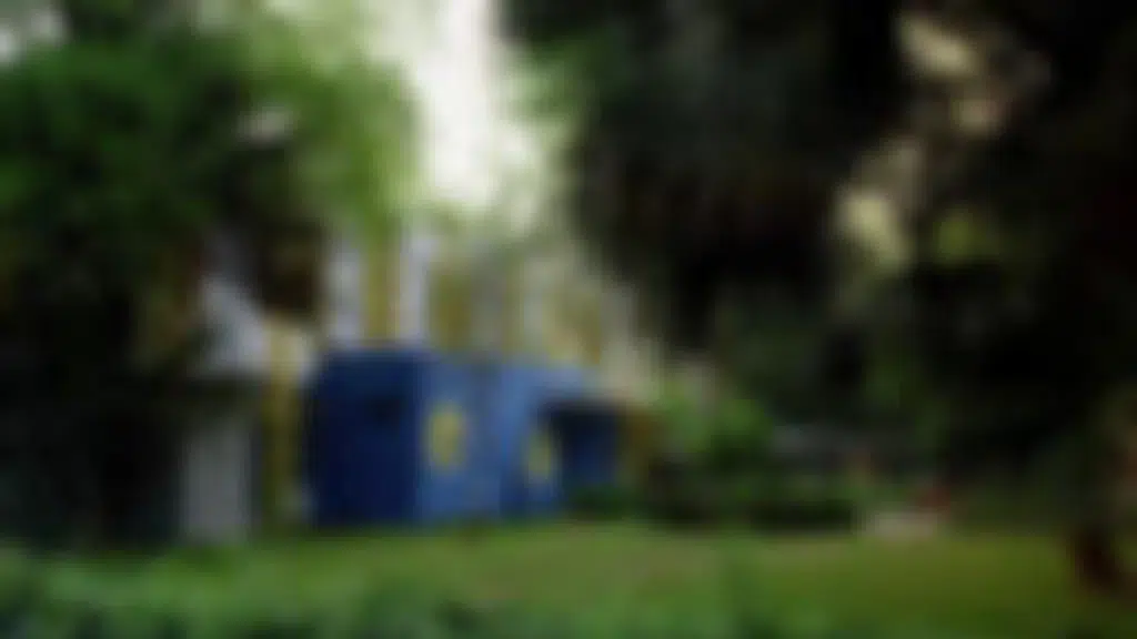 Mira Model School