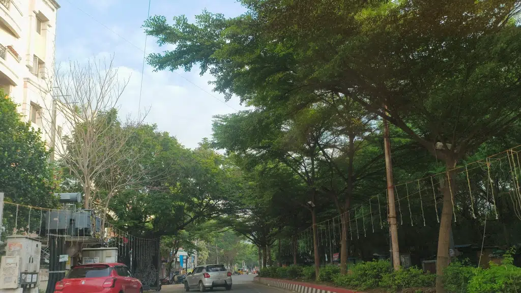 Ashok Residency