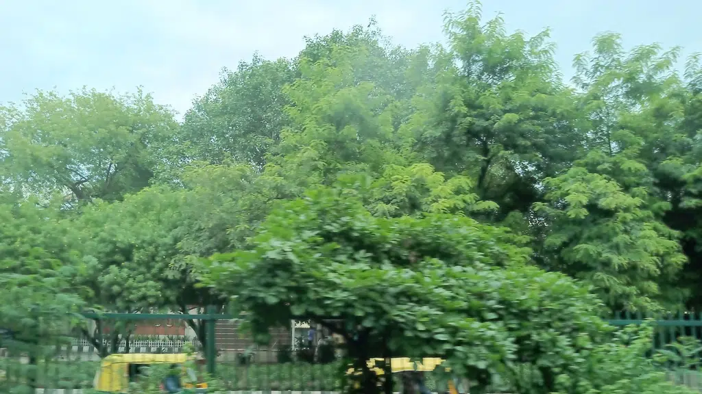 India Tennis Centre