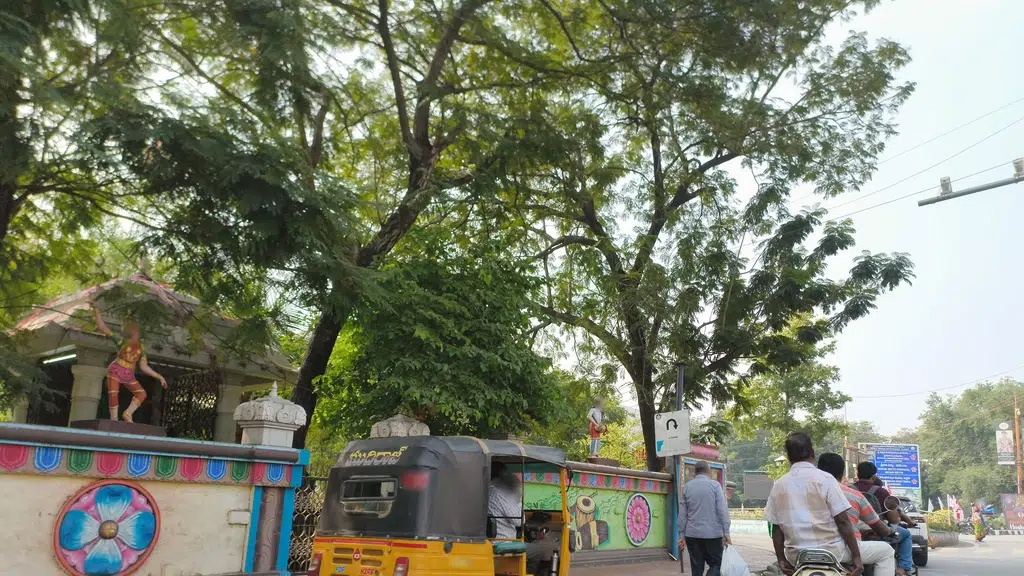 Domino's Pizza | Balaji Colony