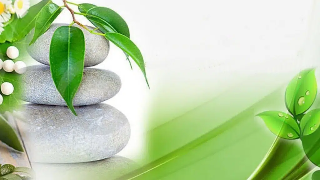 Vedika Multispeciality Clinic and Panchakarma Center