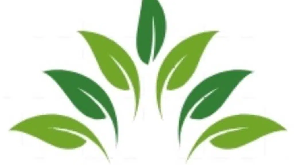 Sevenos Infratech Private Limited