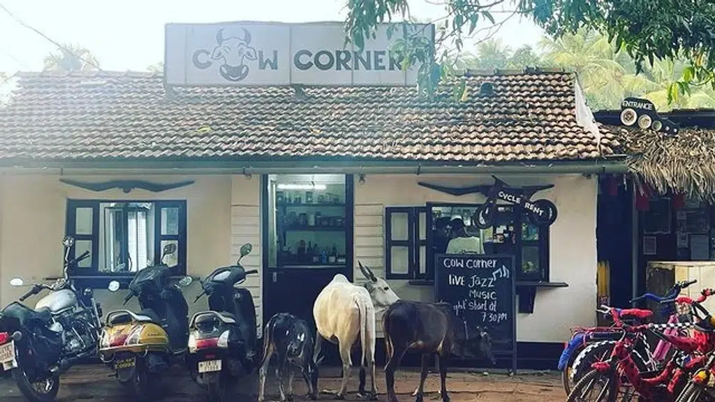 Vidushi's Cow Corner