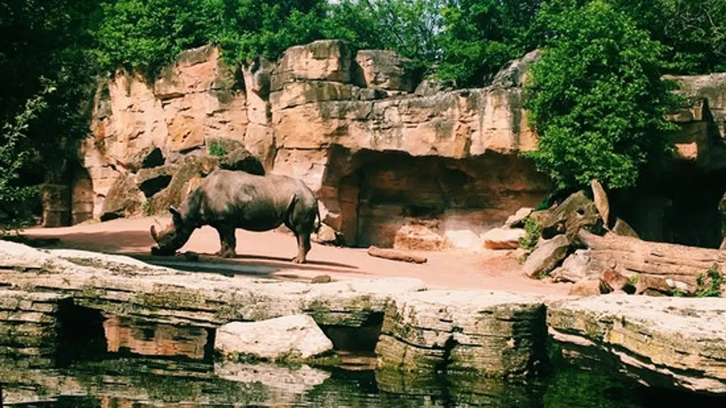 Wild Earth Safari Private Tours